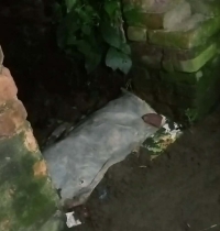পলাশবাড়ীতে পূর্ব শত্রুতার জেরে বৃষ্টির পানি আটকে জলাবদ্ধতায় জনদুর্ভোগ 
